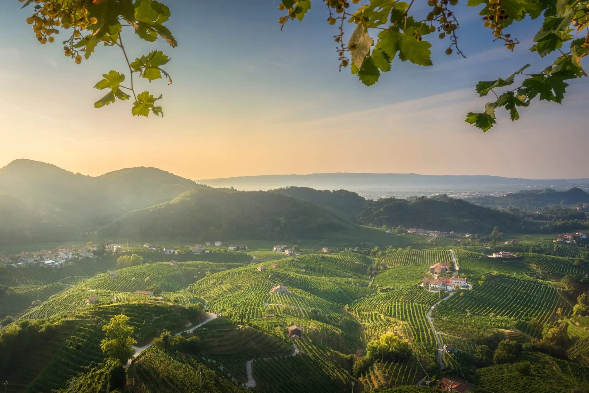 Il territorio piemontese servito da ICCOM